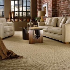 Family Room Carpet | The Floor Store