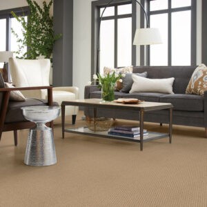 Stylish Carpet | The Floor Store