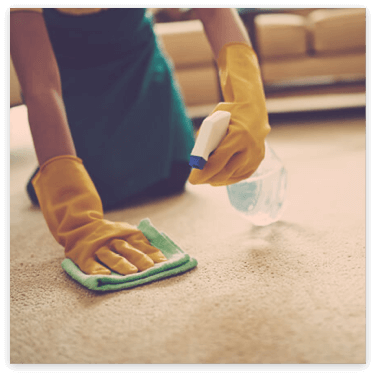 Rug Spill Treatment | The Floor Store